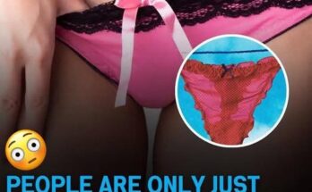 Why Do Women’s Underwear Have a Bow on the Front?