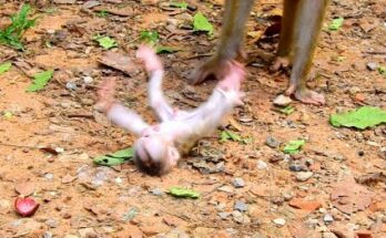 Help Me Too, Mom..!!