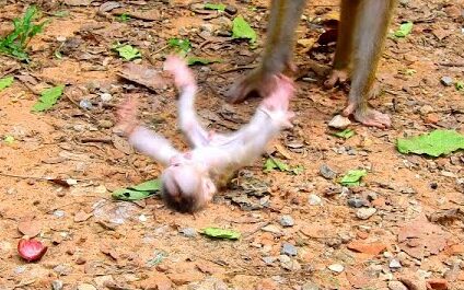 Help Me Too, Mom..!!